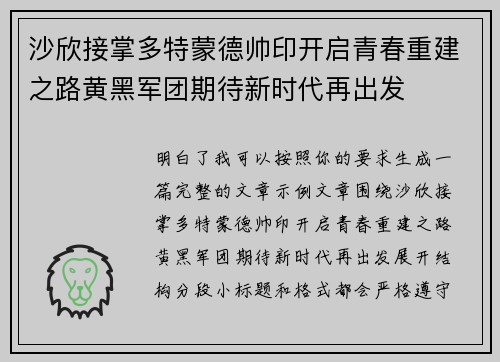 沙欣接掌多特蒙德帅印开启青春重建之路黄黑军团期待新时代再出发